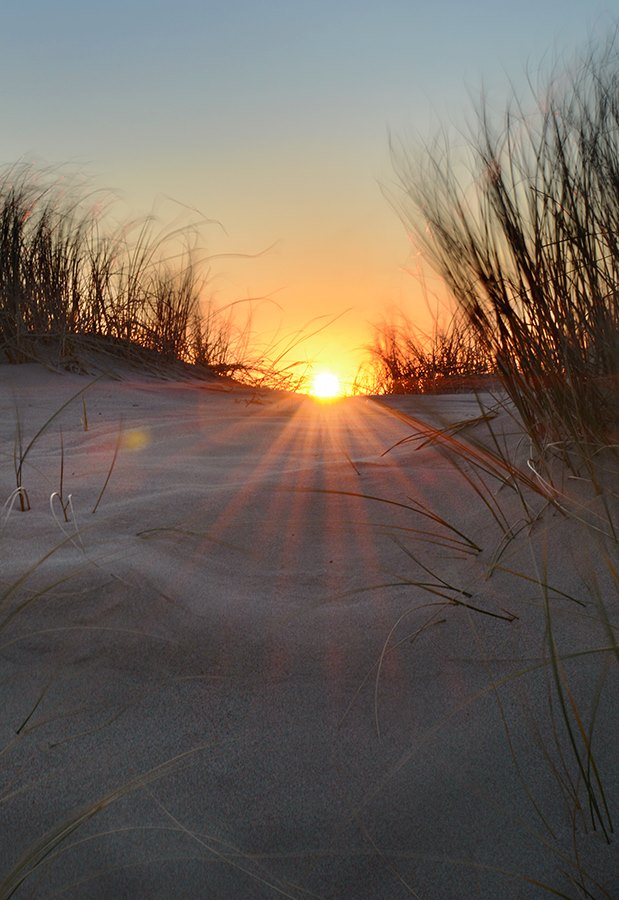 1929885_10207482714933287_2160431674333263827_n