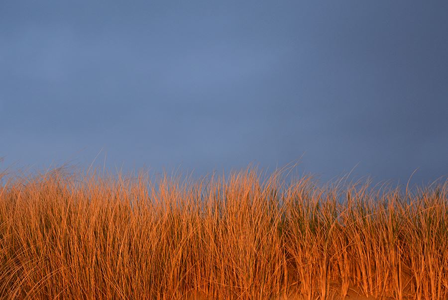 8215_10207613570244588_4107732919459357720_n