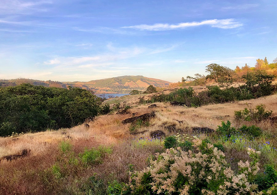 62506760_10217668019519536_5642250196898283520_n copy