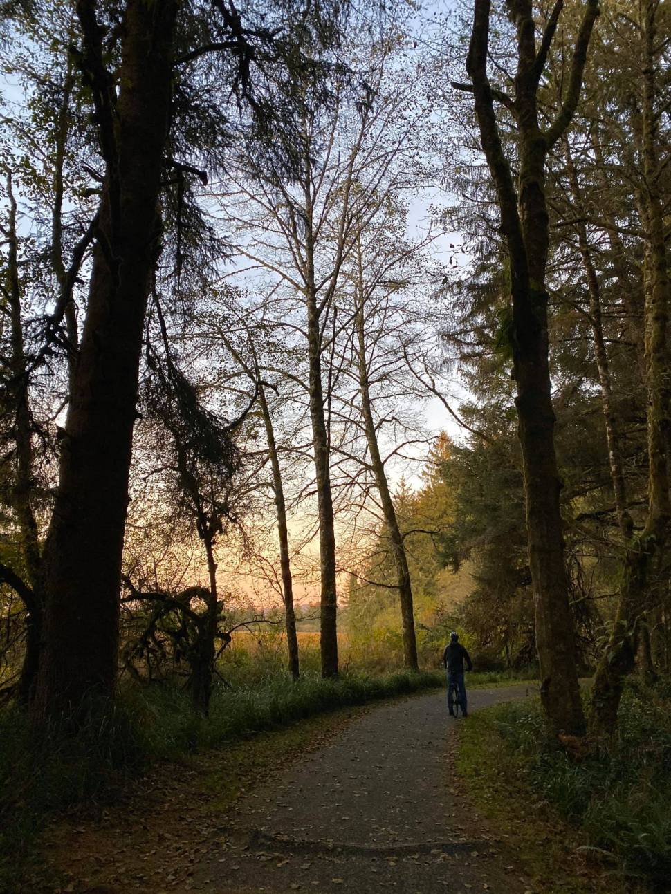 74170514_10218760557952314_1633581800192212992_o